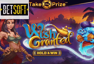 Wish Granted